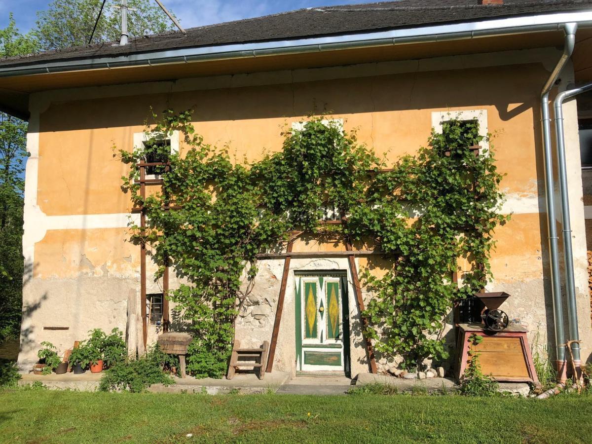Ferienwohnung Klampfermuehle 福尔希多夫 外观 照片